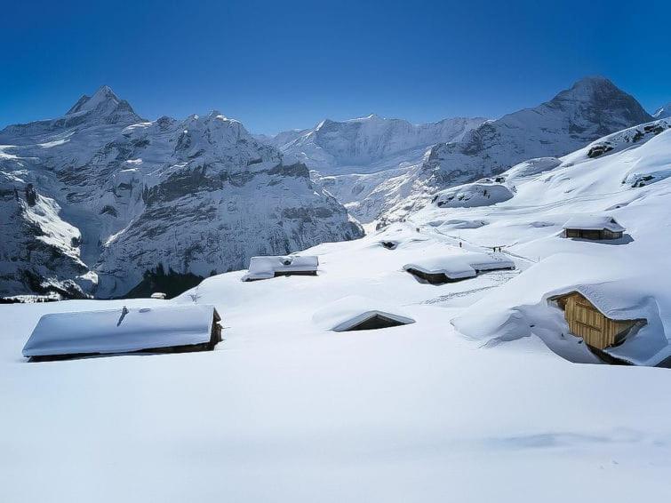 Chalet Aphrodite West Leilighet Grindelwald Eksteriør bilde