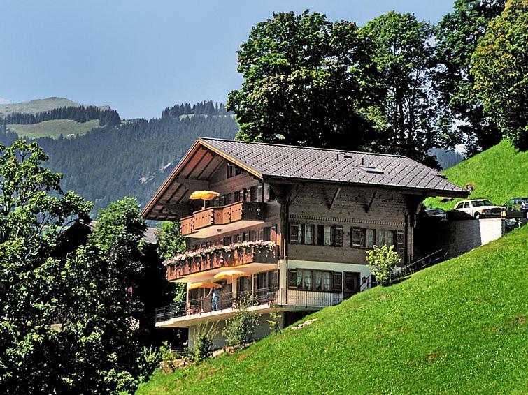 Chalet Aphrodite West Leilighet Grindelwald Eksteriør bilde