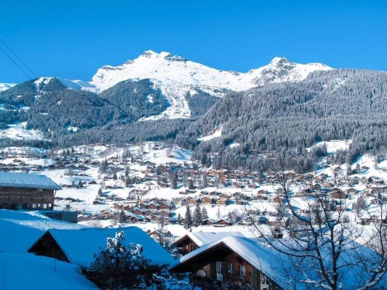 Chalet Aphrodite West Leilighet Grindelwald Eksteriør bilde